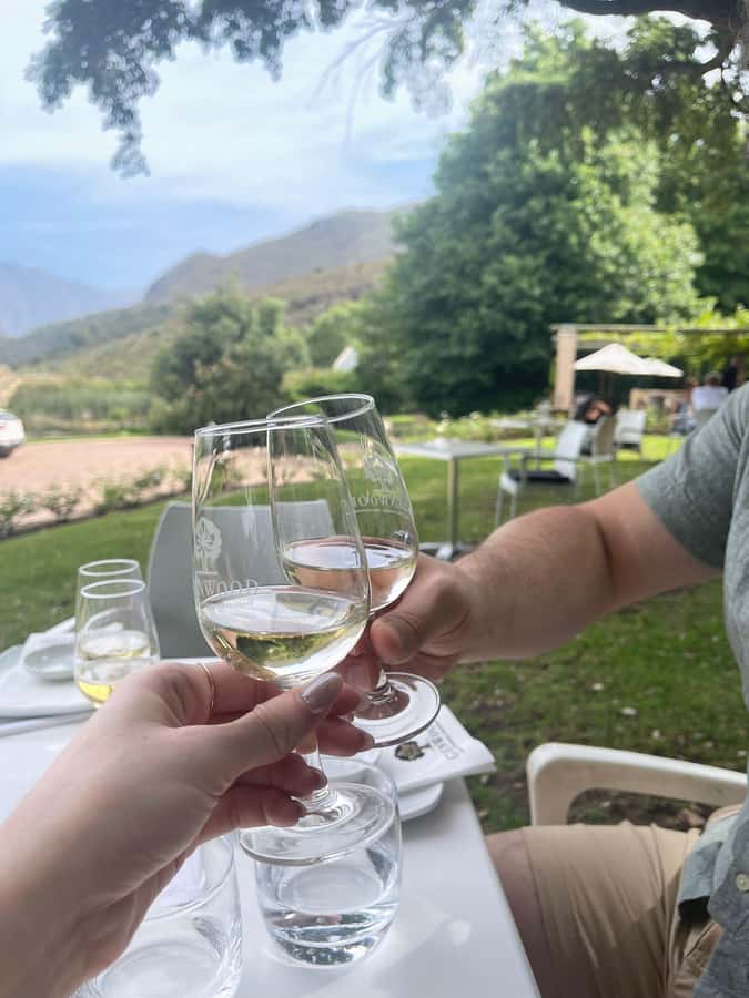 Franschhoek E-Bike & Wine Tour - Riding through the Franschhoek Wine Valley