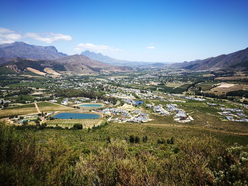 Franschhoek E-Bike & Wine Tour - Who should book this tour?