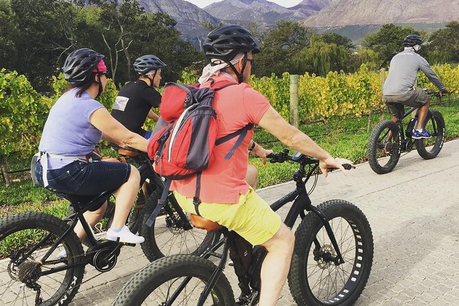 Franschhoek E-Bike Wine Tour (Half Day) - What Makes the Guide Important