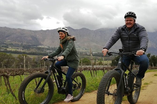 Franschhoek E-Bike Wine Tour (Half Day) - Bike Condition, Comfort, and Fitness