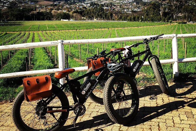 Franschhoek E-Bike Wine Tour (Half Day) - Who Will Enjoy This Tour Most