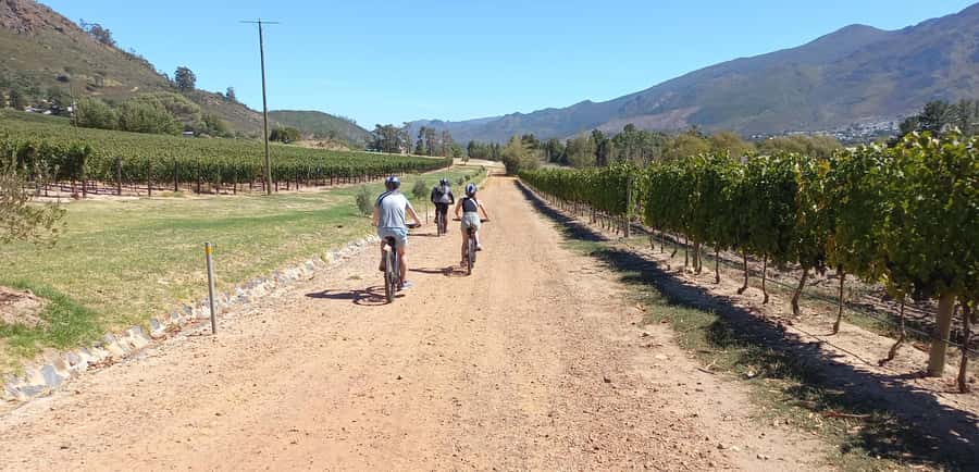 Franschhoek E-Bike & Wine Tour - Starting at Old Road Wine Co.