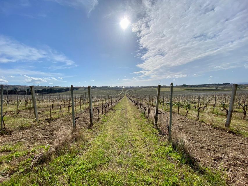 Frascati: Tour in E-Bike with Wine Tasting - Vineyards and the Castelli Romani Countryside
