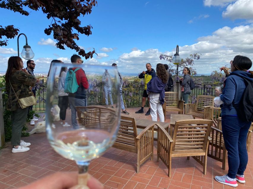 Frascati: Tour in E-Bike with Wine Tasting - How Much Value Do You Get for $94?