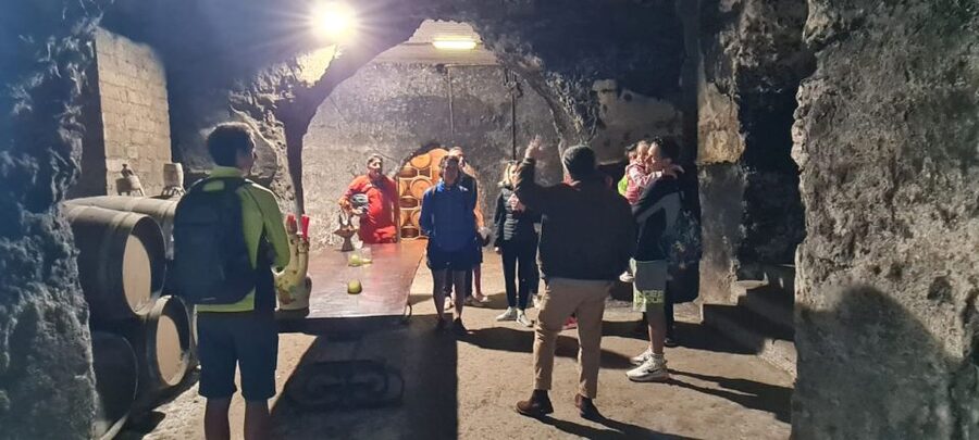 Frascati: Tour in E-Bike with Wine Tasting - Guides Make the Difference