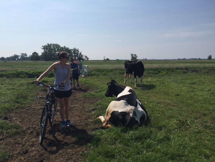 From Amsterdam: Countryside Bike Tour - Starting in central Amsterdam and crossing the IJ