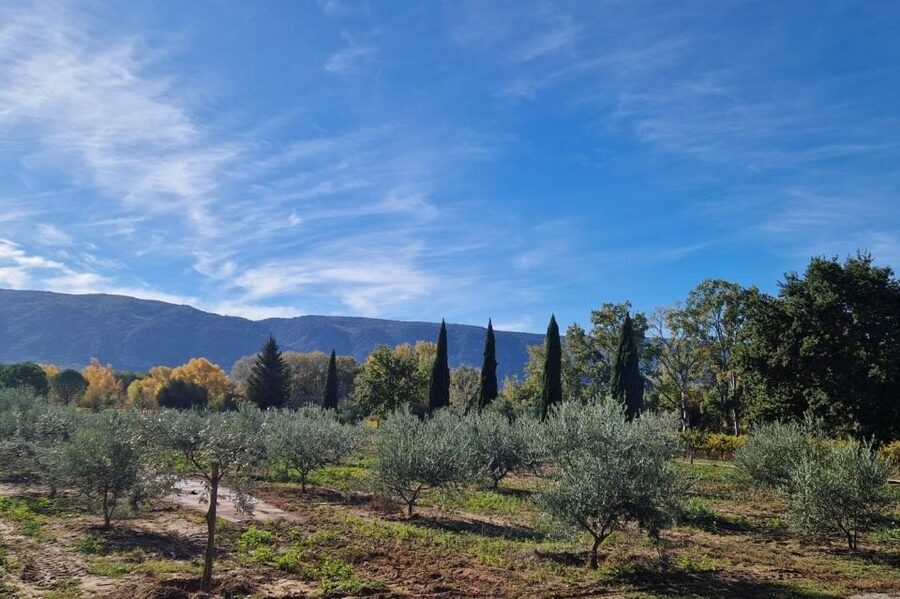 From Avignon: Full-Day E-Bike Tour in the Luberon Region - An early start from Avignon