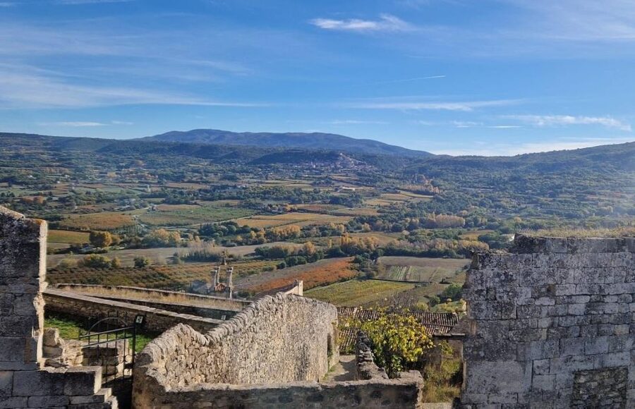 From Avignon: Full-Day E-Bike Tour in the Luberon Region - The guides can shape the whole day