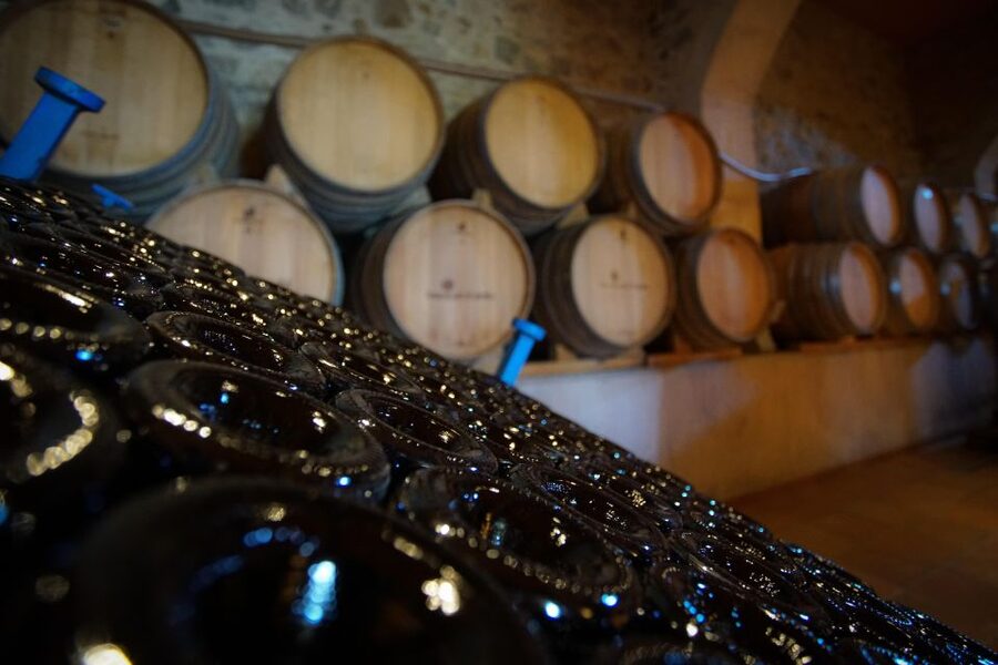 From Barcelona: E-Bike and Sailing Tour with Wine Tastings - Is the $100 price fair?