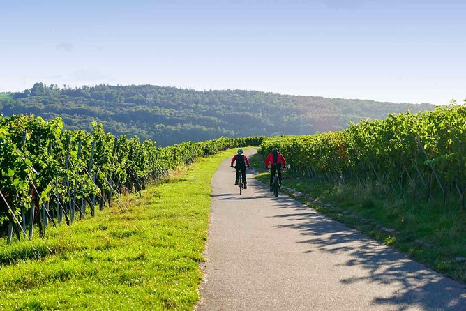 From Barcelona: E-Bike Tour in the vineyards with 2 Wineries - Leaving Barcelona for the Penedès vineyards