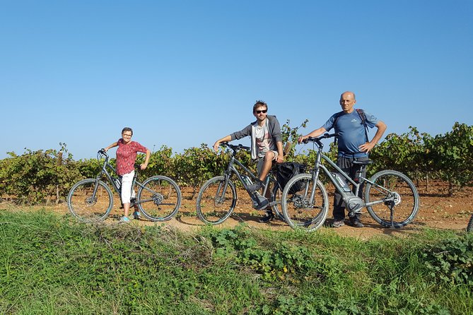 From Barcelona: E-Bike Tour in the vineyards with 2 Wineries - A longer visit at Can Descregut