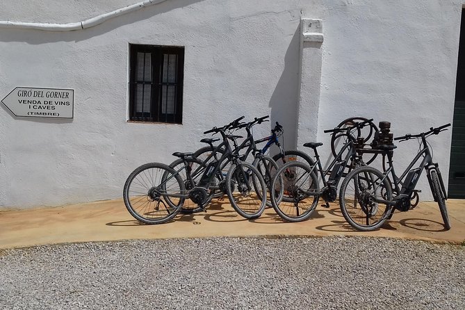 From Barcelona: E-Bike Tour in the vineyards with 2 Wineries - Who will enjoy this day most