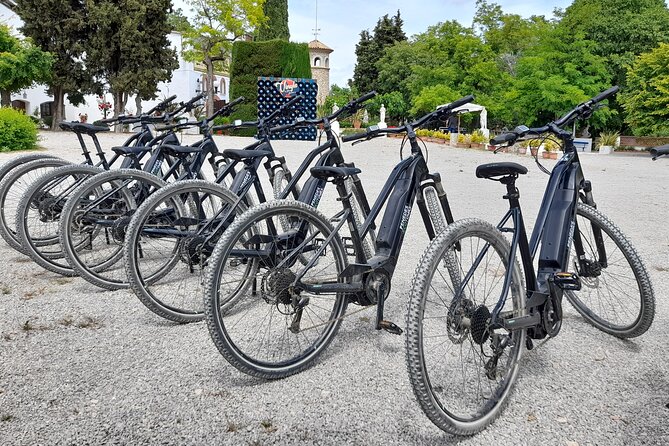 From Barcelona: E-Bike Tour in the vineyards with 2 Wineries - Practical details that can shape your day