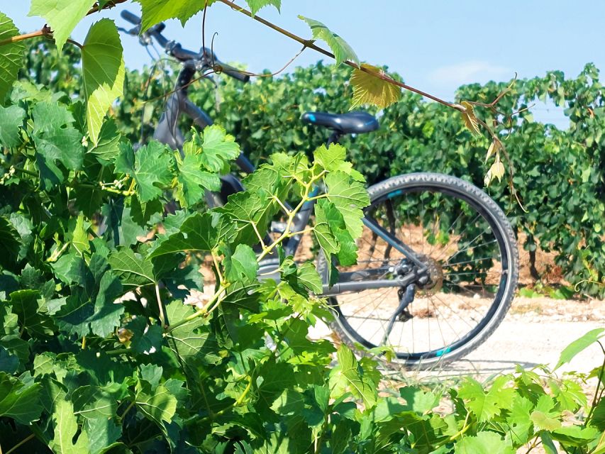 From Barcelona: Penedès E-Bike Tour with 2 Winery Visits - Key points to know before booking