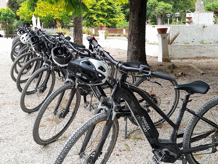 From Barcelona: Penedès E-Bike Tour with 2 Winery Visits - Cycling through vineyards with Montserrat ahead