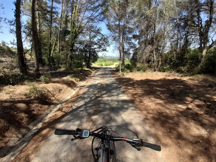 From Barcelona: Penedès E-Bike Tour with 2 Winery Visits - The second winery, cellar visit, and four more samples
