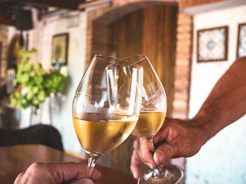 From Barcelona: Penedès E-Bike Tour with 2 Winery Visits - What the 94 dollar price really covers