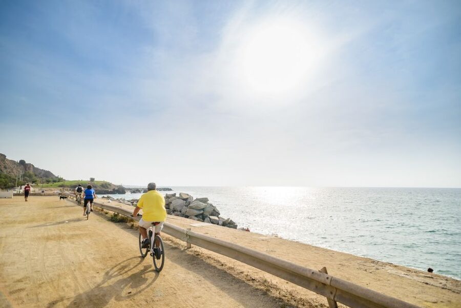 From Barcelona: Private Alella Wine Tour by Electric Bike - Key points at a glance