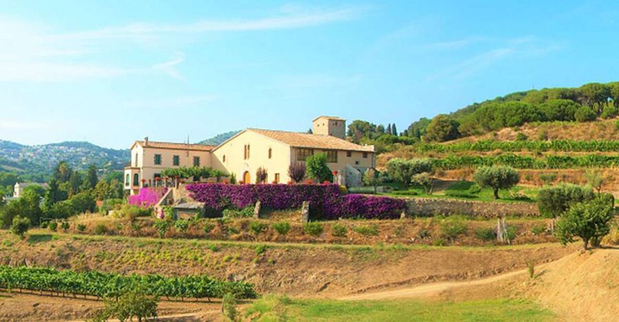From Barcelona: Private Alella Wine Tour by Electric Bike - Arriving in Alella’s vineyard country