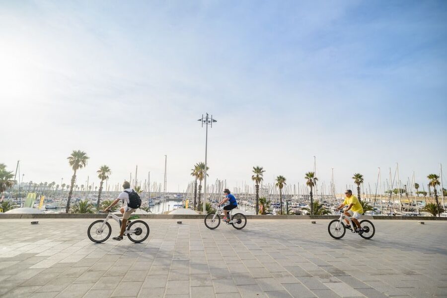 From Barcelona: Private Alella Wine Tour by Electric Bike - Four wines and a Catalan-style picnic
