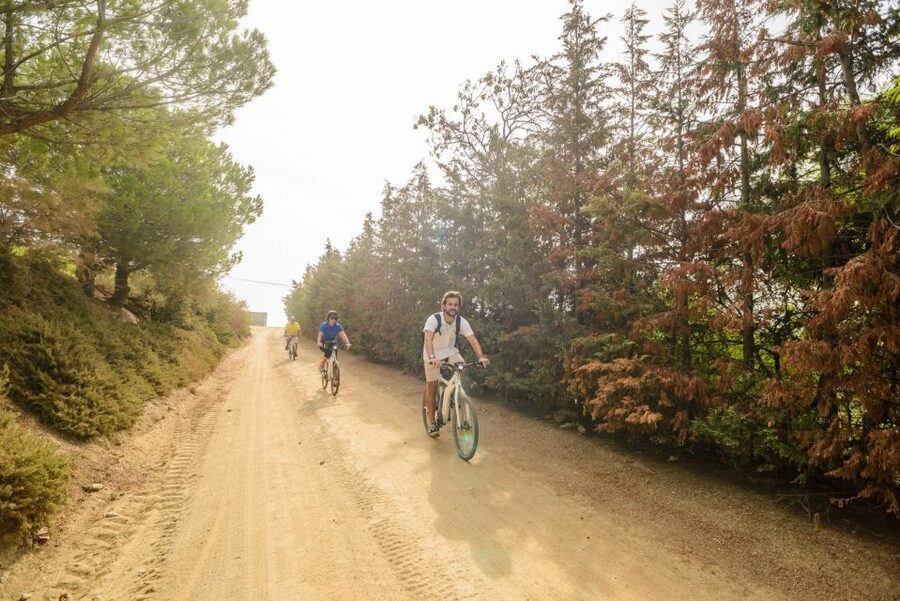 From Barcelona: Private Alella Wine Tour by Electric Bike - Returning by train from El Masnou