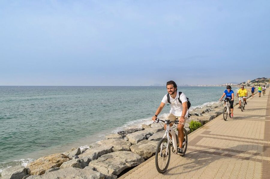 From Barcelona: Private Alella Wine Tour by Electric Bike - Who will enjoy this tour most?