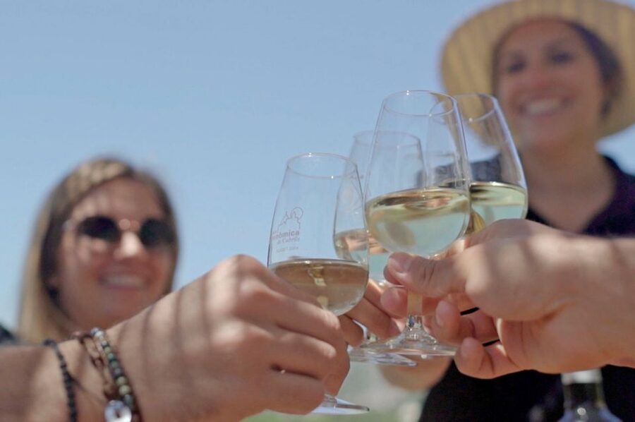 From Barcelona: Private Alella Wine Tour by Electric Bike - The guide can shape the whole day