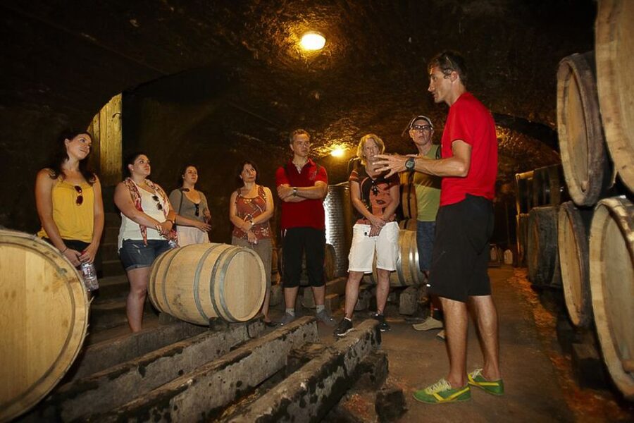 From Beaune: Full-Day Bicycle and Wine Tour in Burgundy - Riding Through the Côte de Beaune