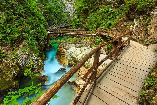 From Bled: Self-Guided E-Bike Tour to Vintgar Gorge - The ride from Bled to Vintgar Gorge