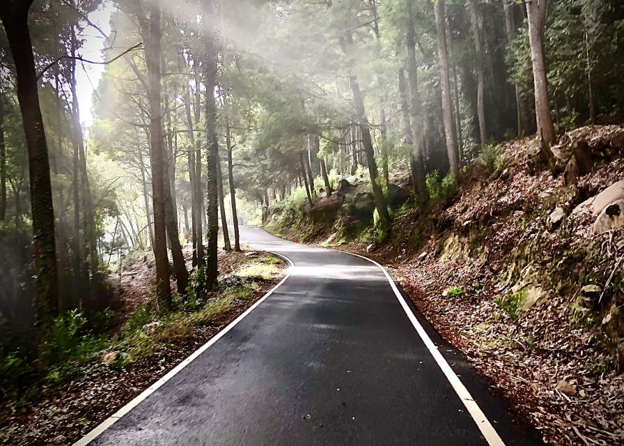 From Cascais: Sintra Guided E-Bike Tour & Guincho Beach - Guides, languages, and the feel of the group