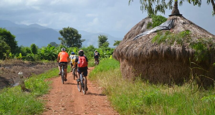 From Chiang Mai: Mae Taeng Valley and Waterfalls Cycle Tour - Choosing between more cycling and Sticky Waterfalls