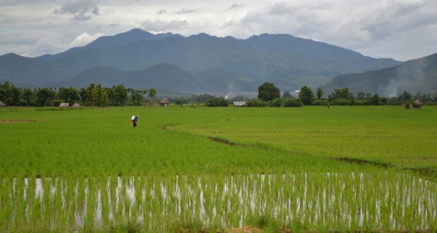 From Chiang Mai: Mae Taeng Valley and Waterfalls Cycle Tour - Is the $73 price good value?