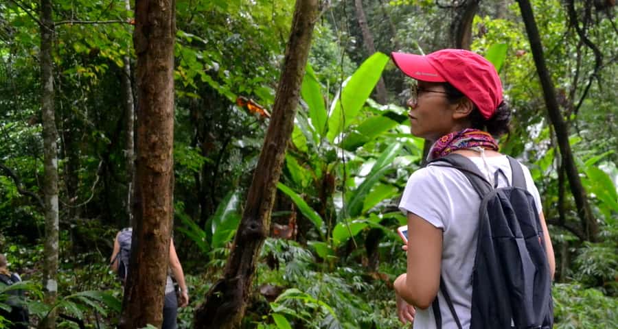From Chiang Mai: Mae Taeng Valley Hike & Bike Day Trip - Key points to know before booking