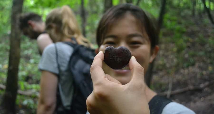 From Chiang Mai: Mae Taeng Valley Hike & Bike Day Trip - Why this Mae Taeng day trip is worth your time