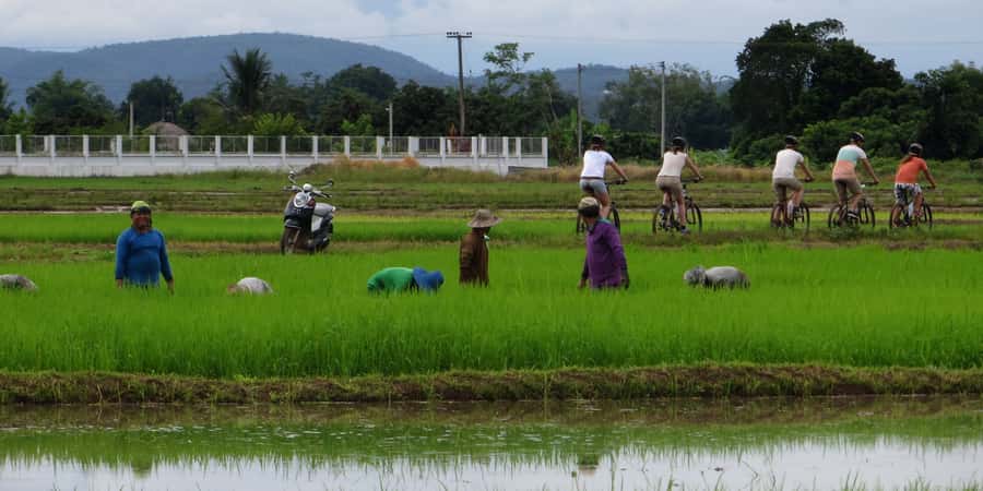 From Chiang Mai: Mae Taeng Valley Hike & Bike Day Trip - A 5-kilometer walk through orchards and village country