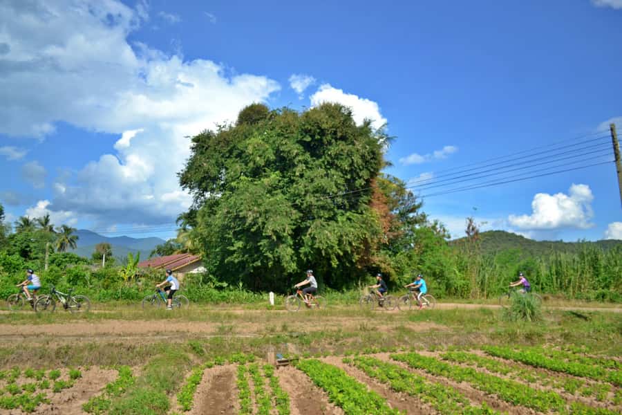 From Chiang Mai: Mae Taeng Valley Hike & Bike Day Trip - Wat Ban Den adds a short cultural stop