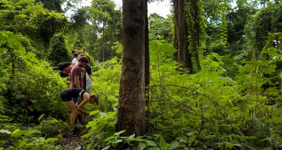 From Chiang Mai: Mae Taeng Valley Hike & Bike Day Trip - Who will enjoy this tour most