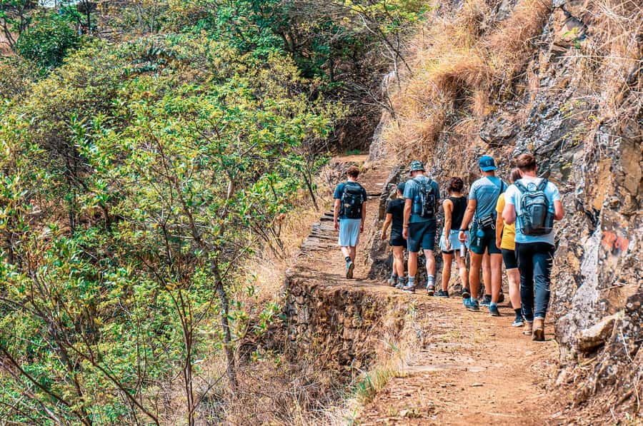 From Cusco: 4-Day Inca Jungle Adventure to Machu Picchu - Day 4: First buses and the main event at Machu Picchu