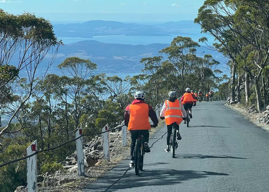From Hobart: Mt Wellington Summit & Rainforest Bike Tour - Key things to know before booking