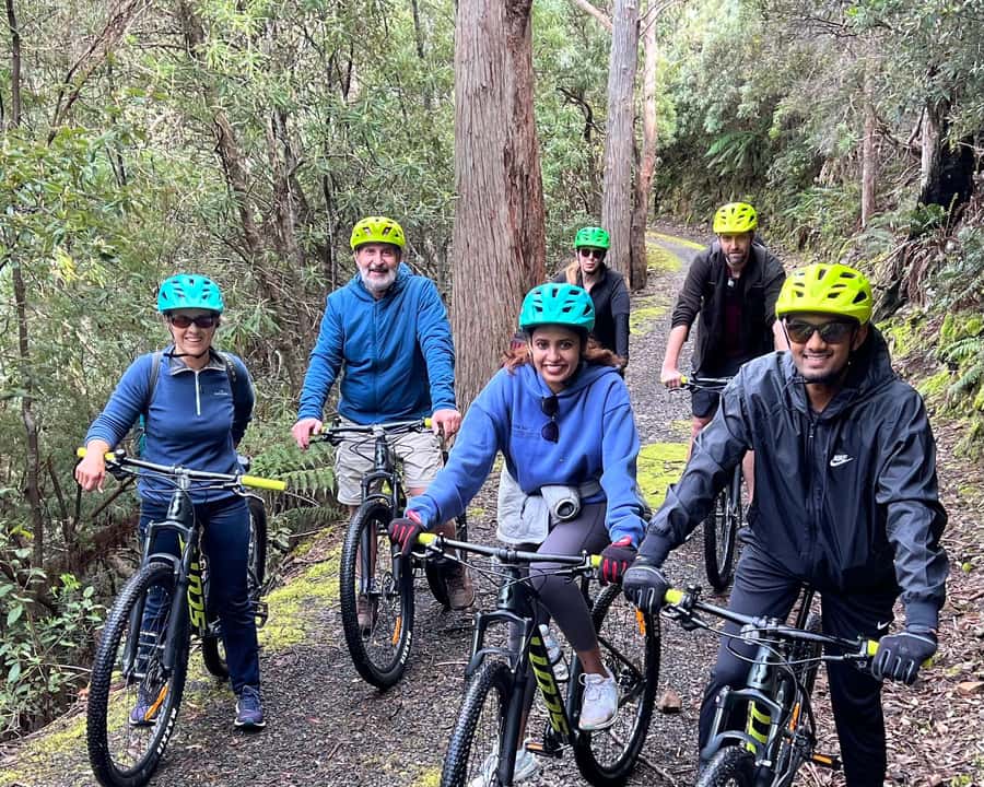 From Hobart: Mt Wellington Summit & Rainforest Bike Tour - A 6-kilometre downhill ride from kunanyi