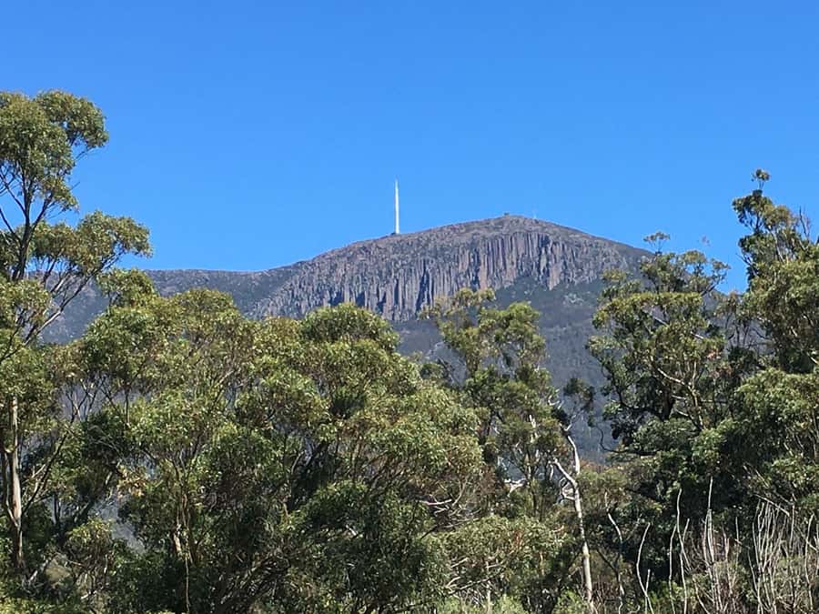 From Hobart: Mt Wellington Summit & Rainforest Bike Tour - The short break before the forest trail