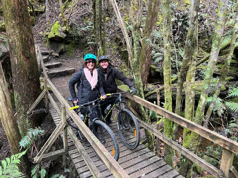 From Hobart: Mt Wellington Summit & Rainforest Bike Tour - What the $119 price really covers