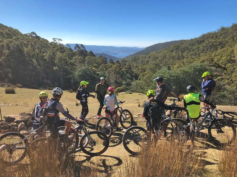 From Hobart: Mt Wellington Summit & Rainforest Bike Tour - Starting at 473 Macquarie Street in South Hobart