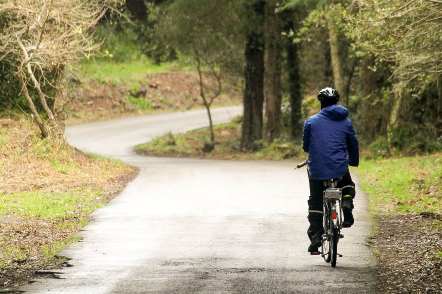 From Lisbon: Sintra to Cascais Full-Day Guided E-Bike Tour - Riding through the Sintra-Cascais Natural Park