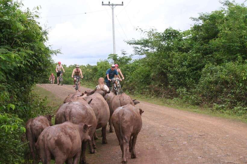 From Luang Prabang: Guided Mountain Bike Tour with Lunch - Starting at Ban Xang Hai, the Whiskey Village