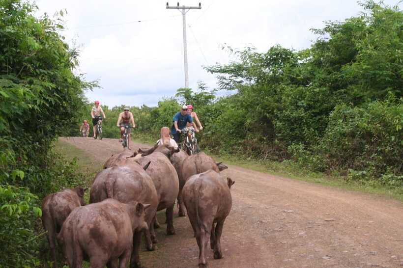 From Luang Prabang: Guided Mountain Bike Tour with Lunch - Who should book this ride?