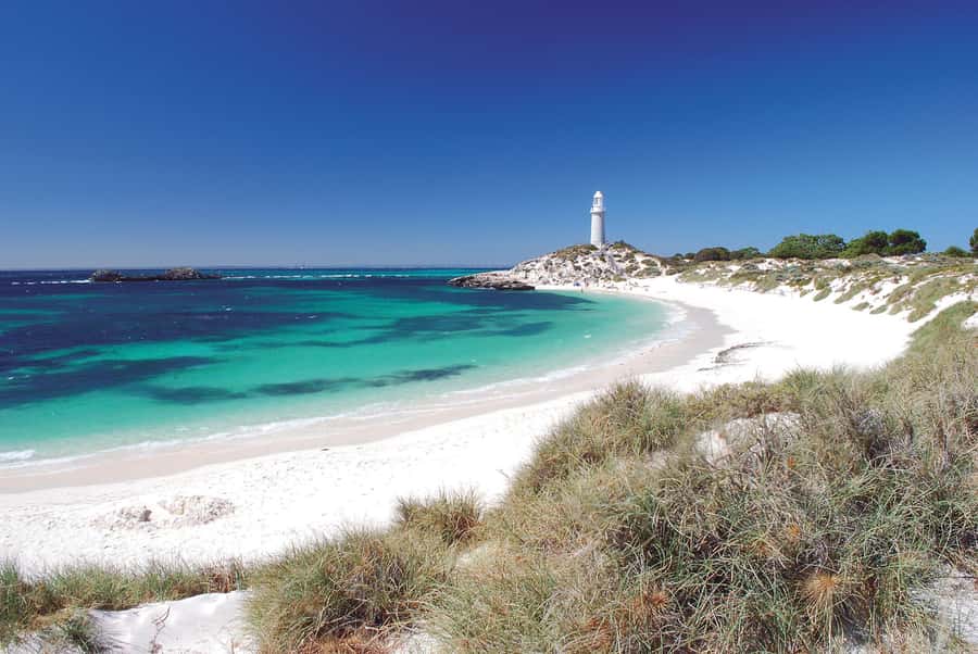 From Perth: Rottnest Island Ferry & Bike Trip - Key points to know before you book
