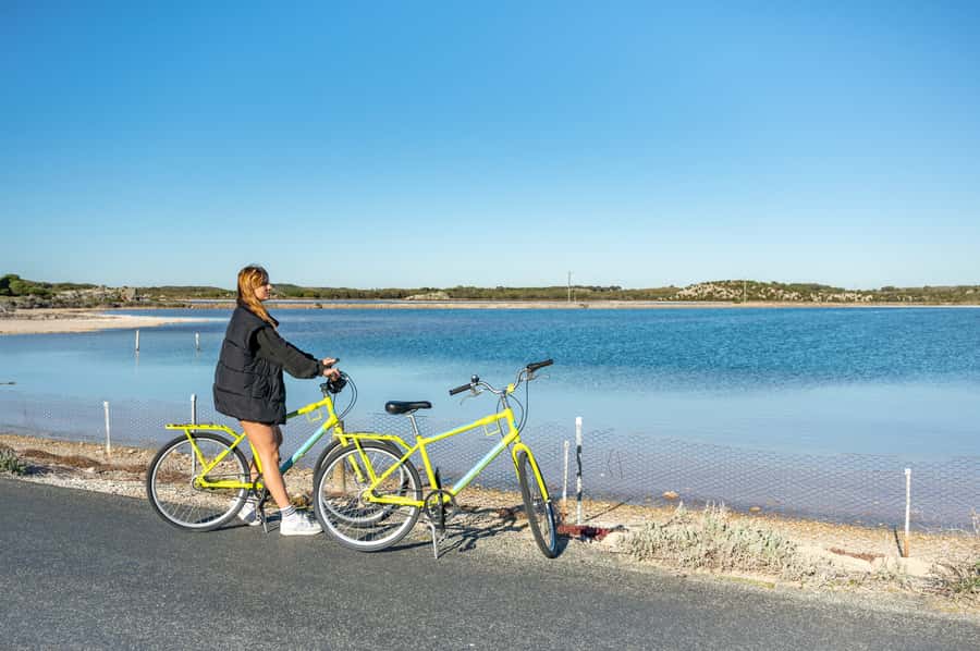 From Perth: Rottnest Island Full-Day Bike and Ferry Trip - Why this Rottnest day trip works so well