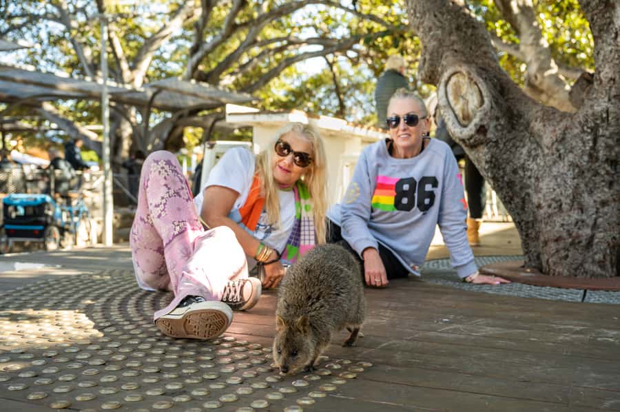 From Perth: Rottnest Island Full-Day Bike and Ferry Trip - Choosing the best route for your fitness
