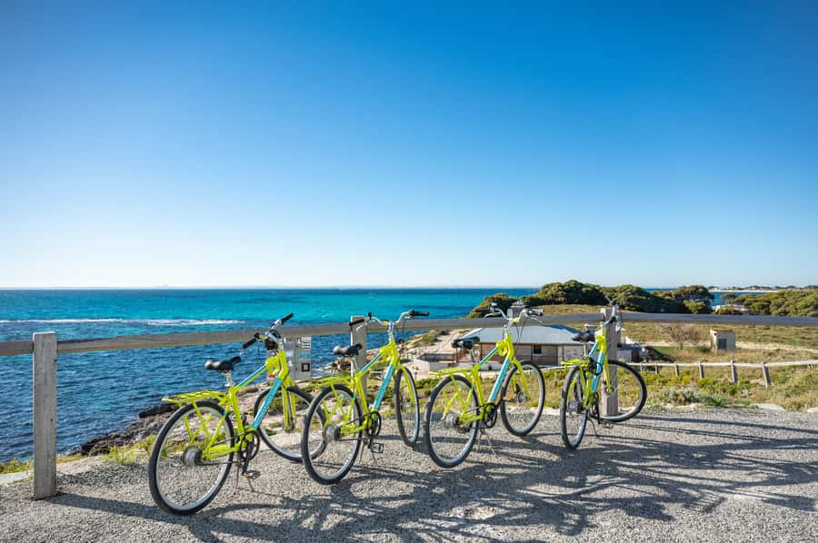 From Perth: Rottnest Island Full-Day Bike and Ferry Trip - Finding quokkas without bothering them